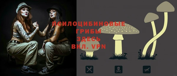 стафф Алексеевка