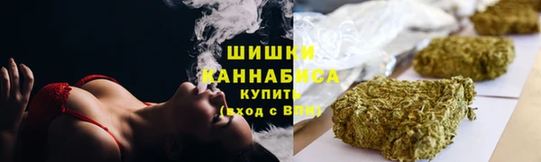 ГАЛЛЮЦИНОГЕННЫЕ ГРИБЫ Алзамай