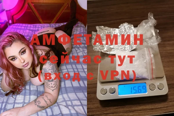 ГАЛЛЮЦИНОГЕННЫЕ ГРИБЫ Алзамай