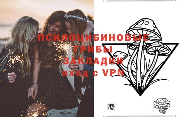 стафф Алексеевка