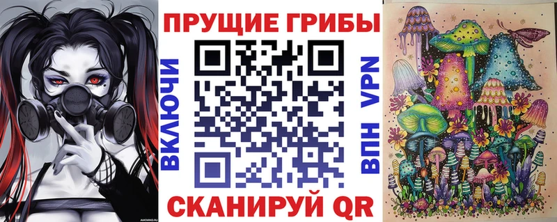 Псилоцибиновые грибы Cubensis  наркота  Зеленогорск 