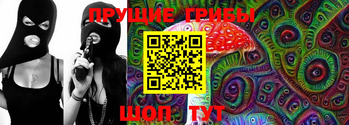где купить   Псилоцибиновые грибы Psilocybe  Вход с VPN  Зеленогорск 