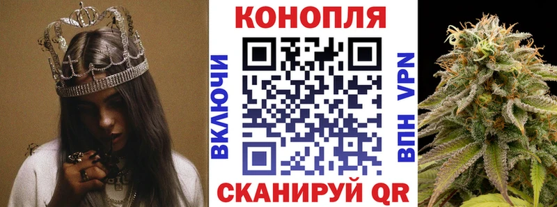 купить   Зеленогорск  Конопля ГИДРОПОН 