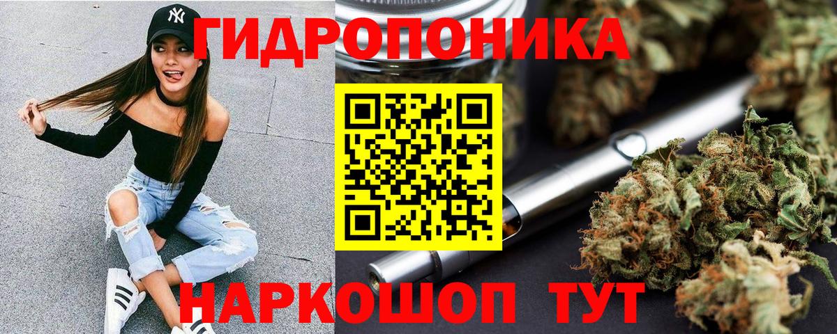 Бошки Шишки планчик Зеленогорск